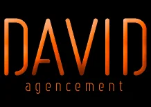 Logo-DavidAgencement-OK01-1