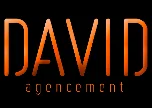 Logo-DavidAgencement-OK01